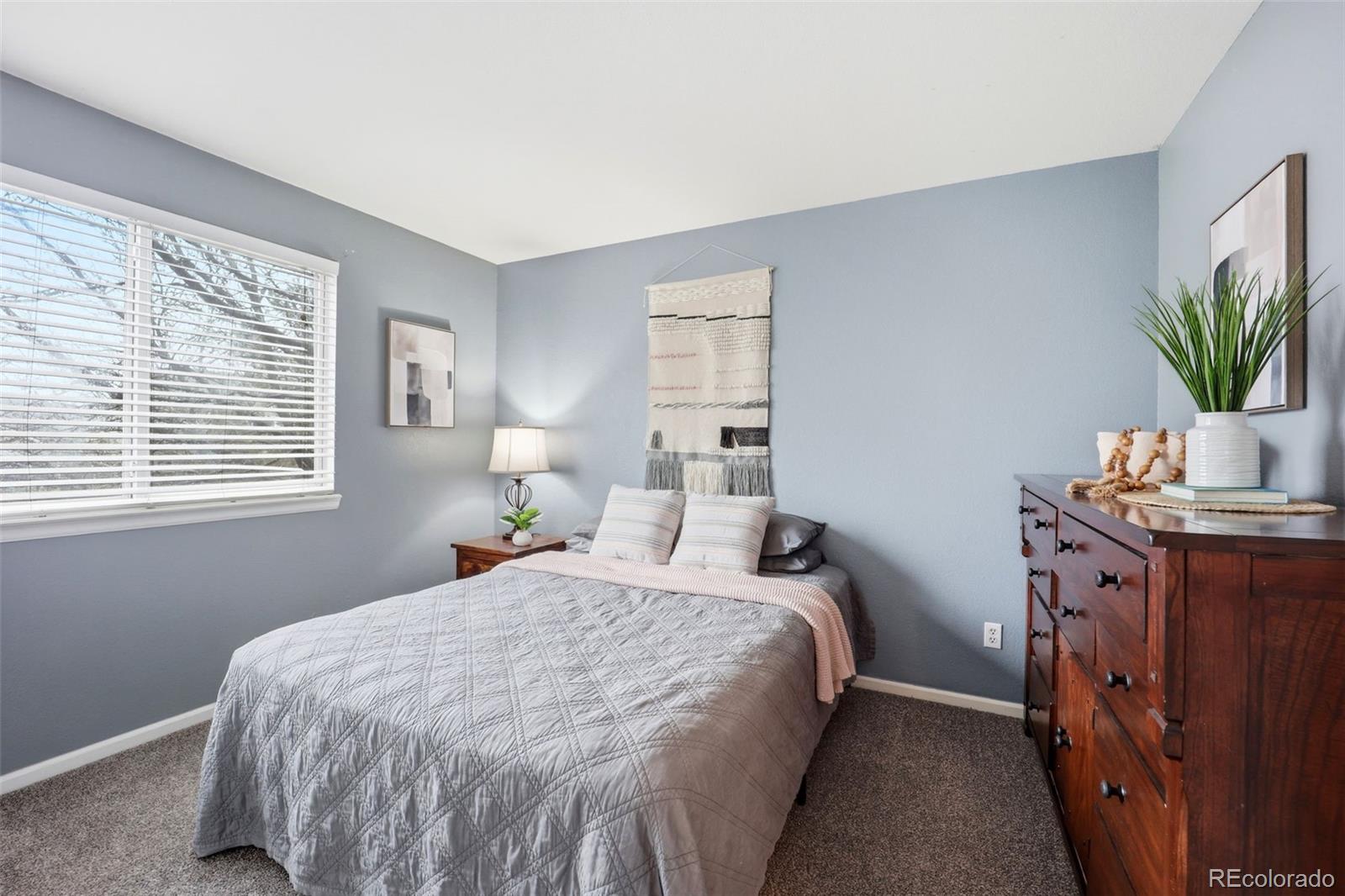 MLS Image #20 for 12934 s molly court,parker, Colorado