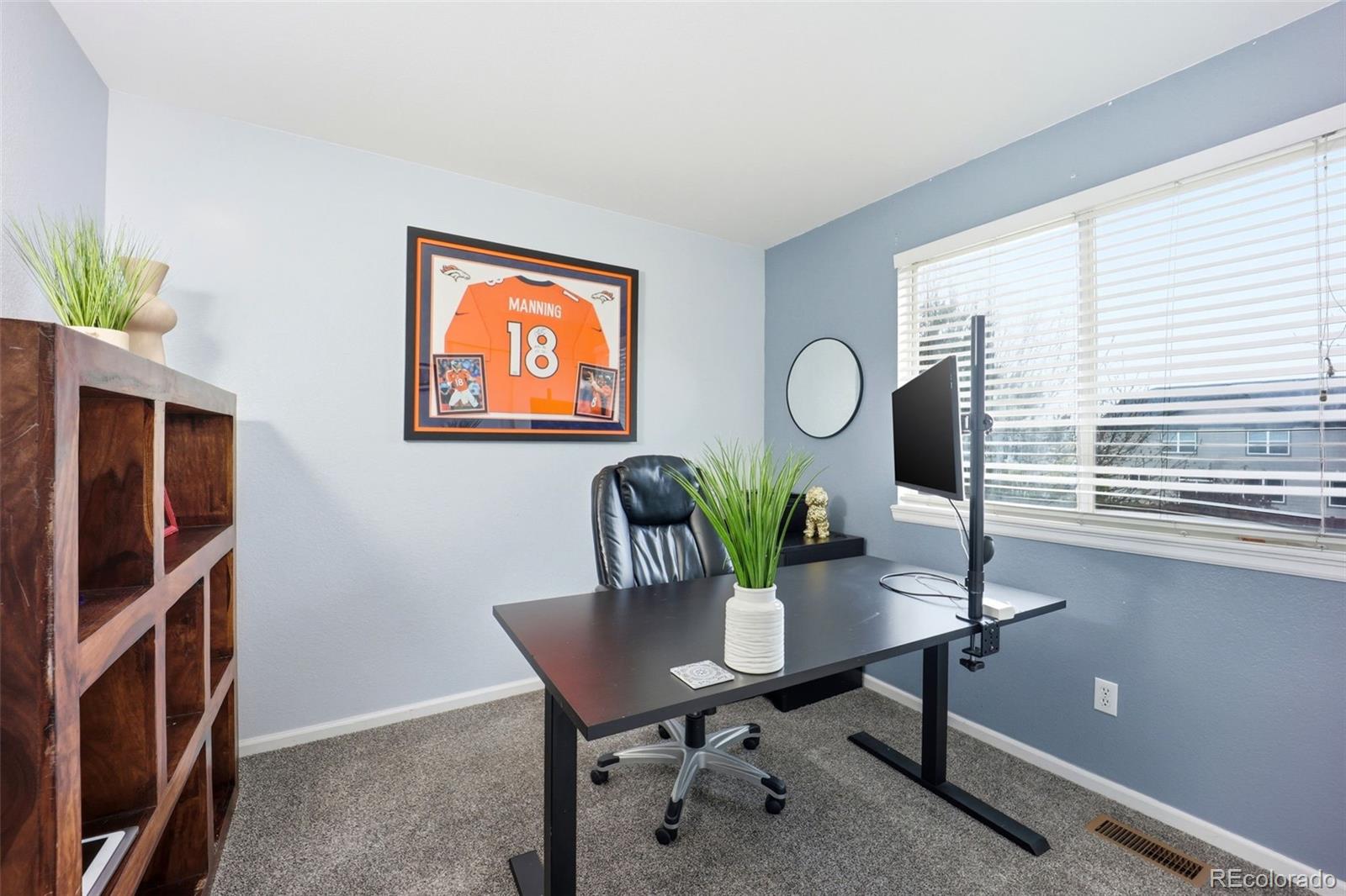 MLS Image #23 for 12934 s molly court,parker, Colorado