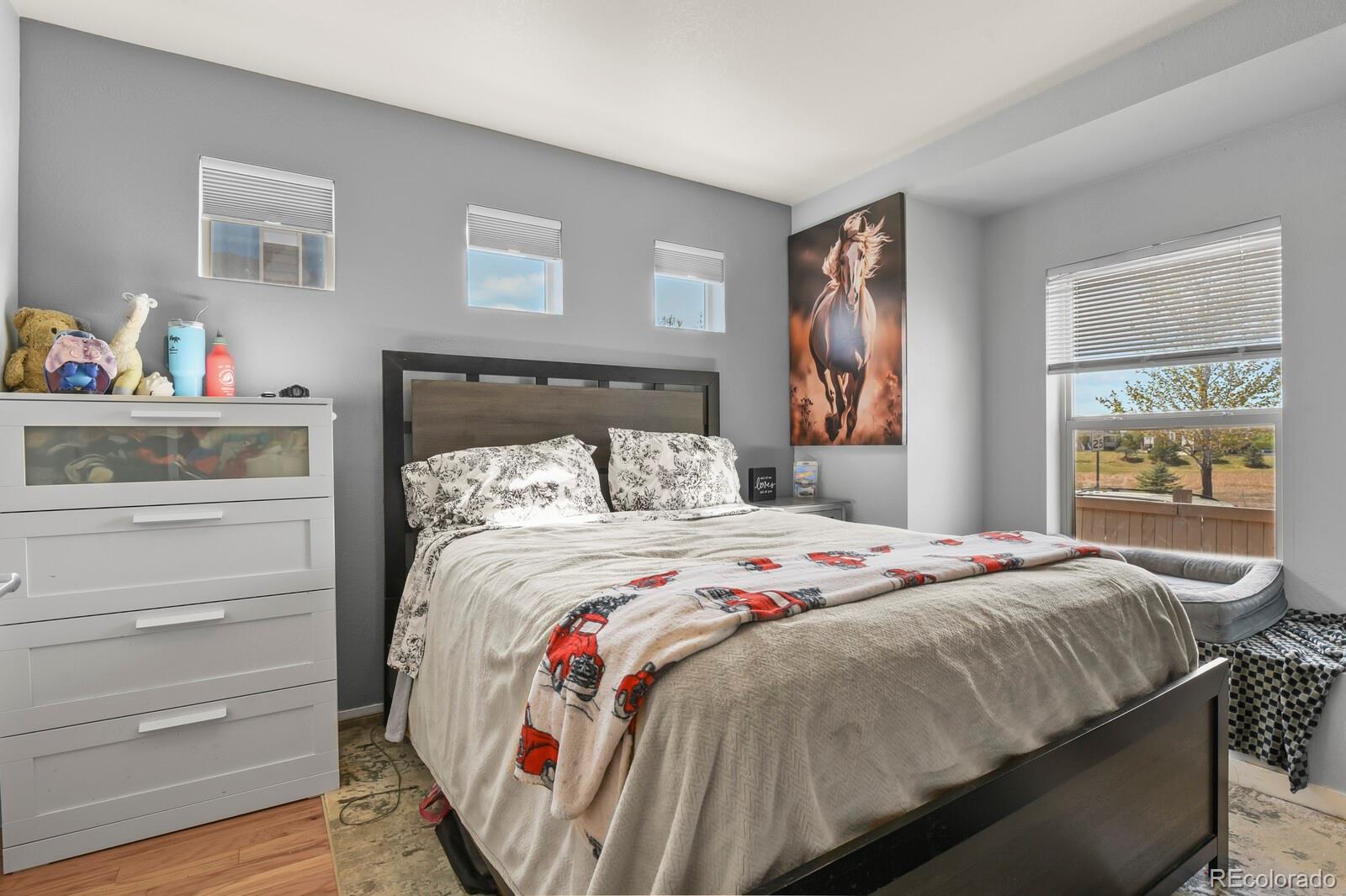 MLS Image #17 for 4532  elegant street,castle rock, Colorado