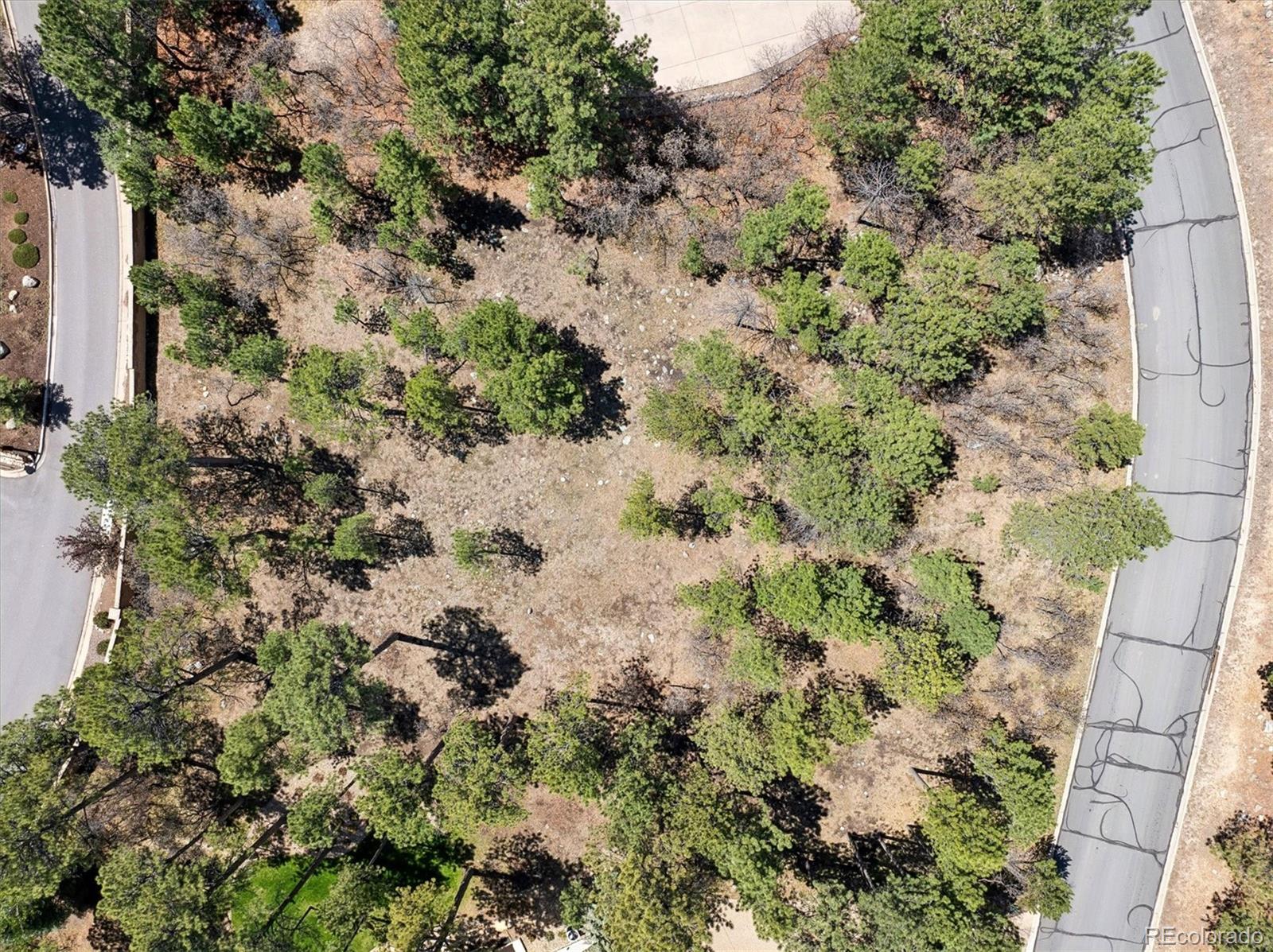 MLS Image #45 for 668  silver oak grove,colorado springs, Colorado