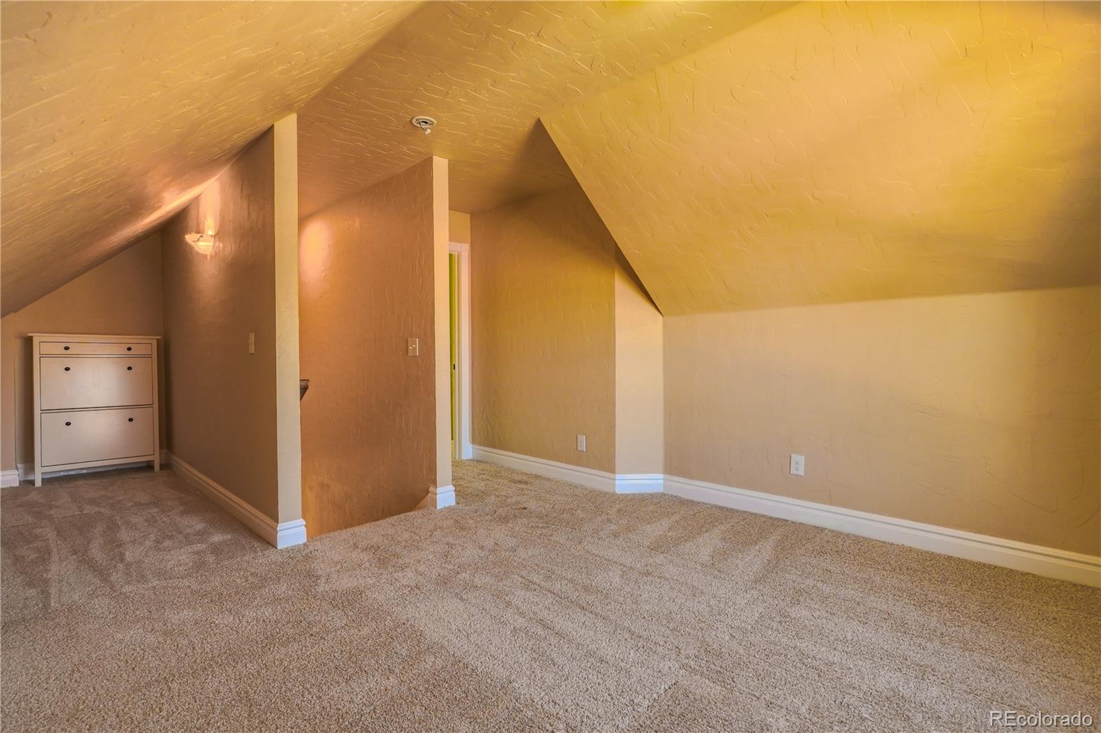 MLS Image #15 for 360  inca street,denver, Colorado