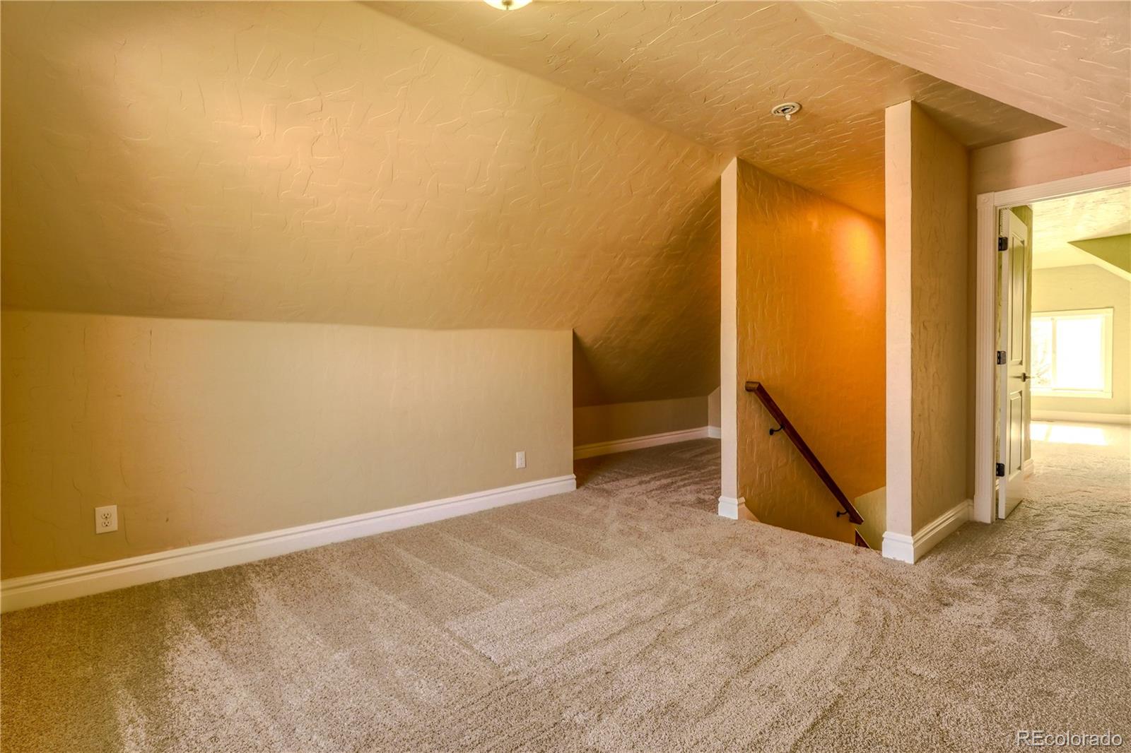 MLS Image #16 for 360  inca street,denver, Colorado