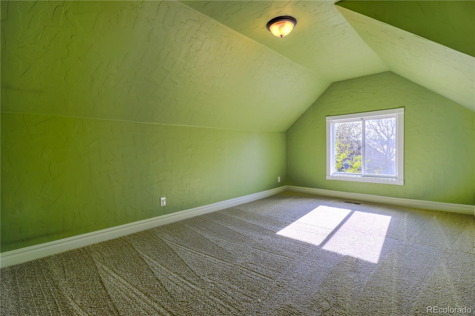 MLS Image #19 for 360  inca street,denver, Colorado