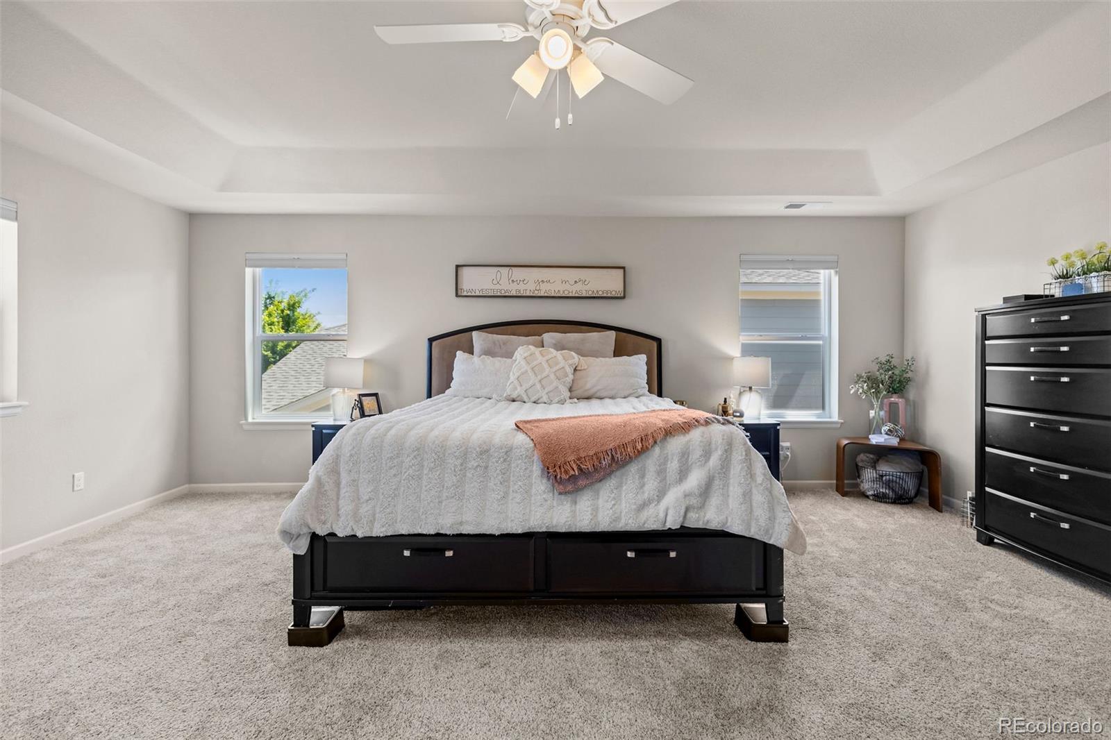 MLS Image #21 for 3538 e 142nd drive,thornton, Colorado