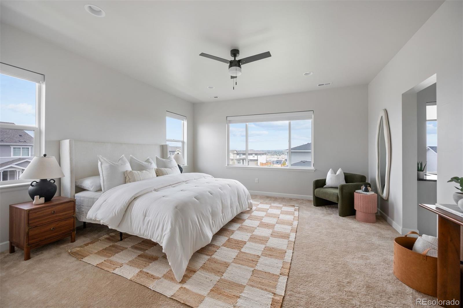 MLS Image #3 for 14290  hop clover street,parker, Colorado