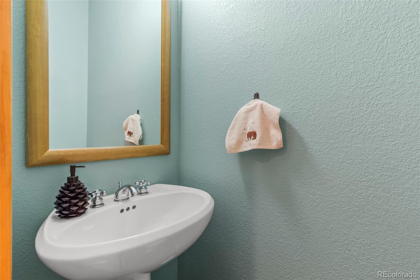 MLS Image #10 for 206  alpen rose place,dillon, Colorado