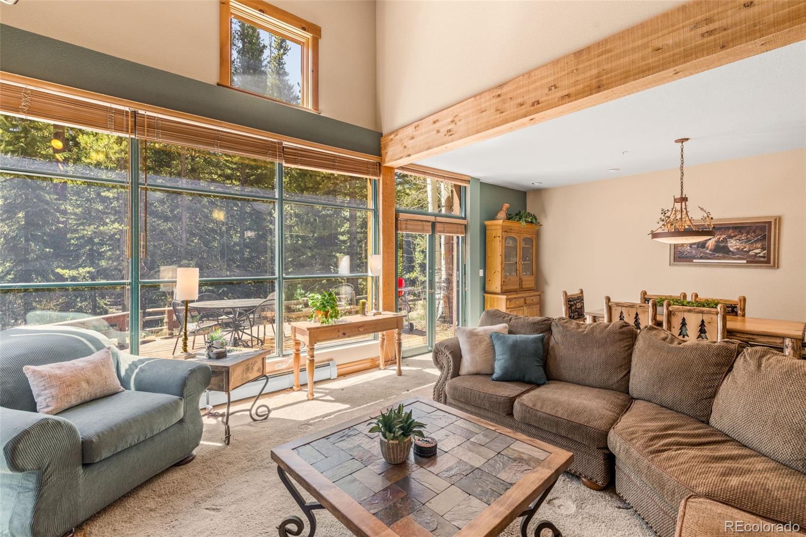 MLS Image #14 for 206  alpen rose place,dillon, Colorado