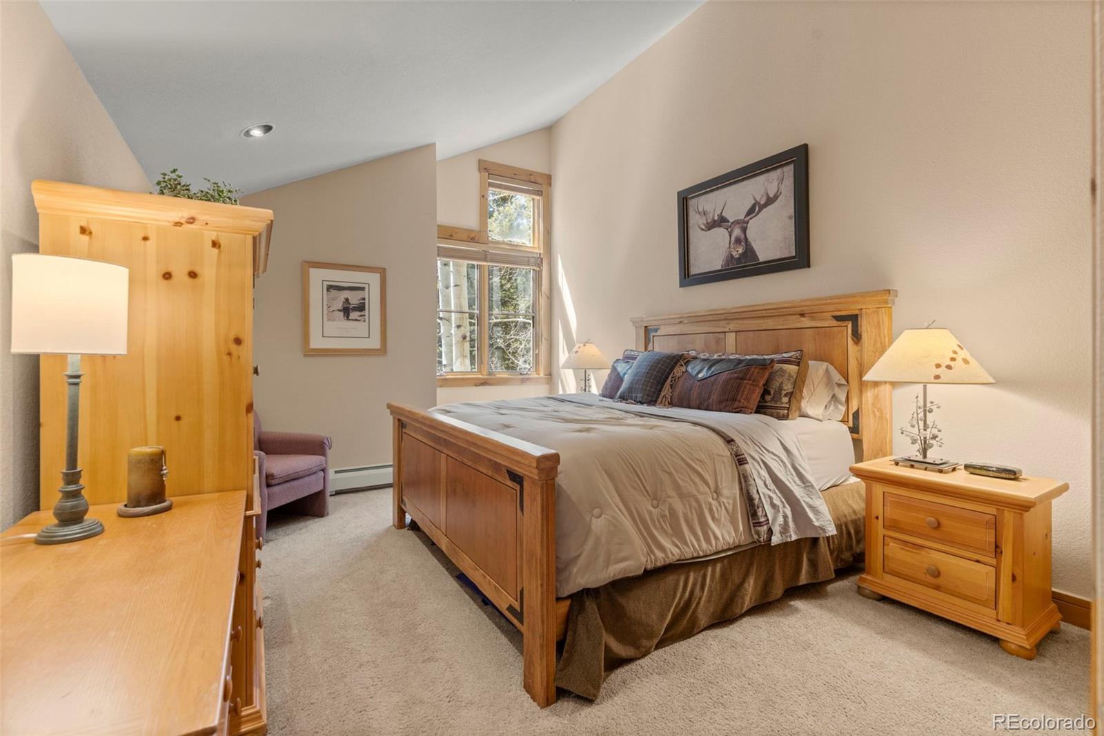 MLS Image #27 for 206  alpen rose place,dillon, Colorado