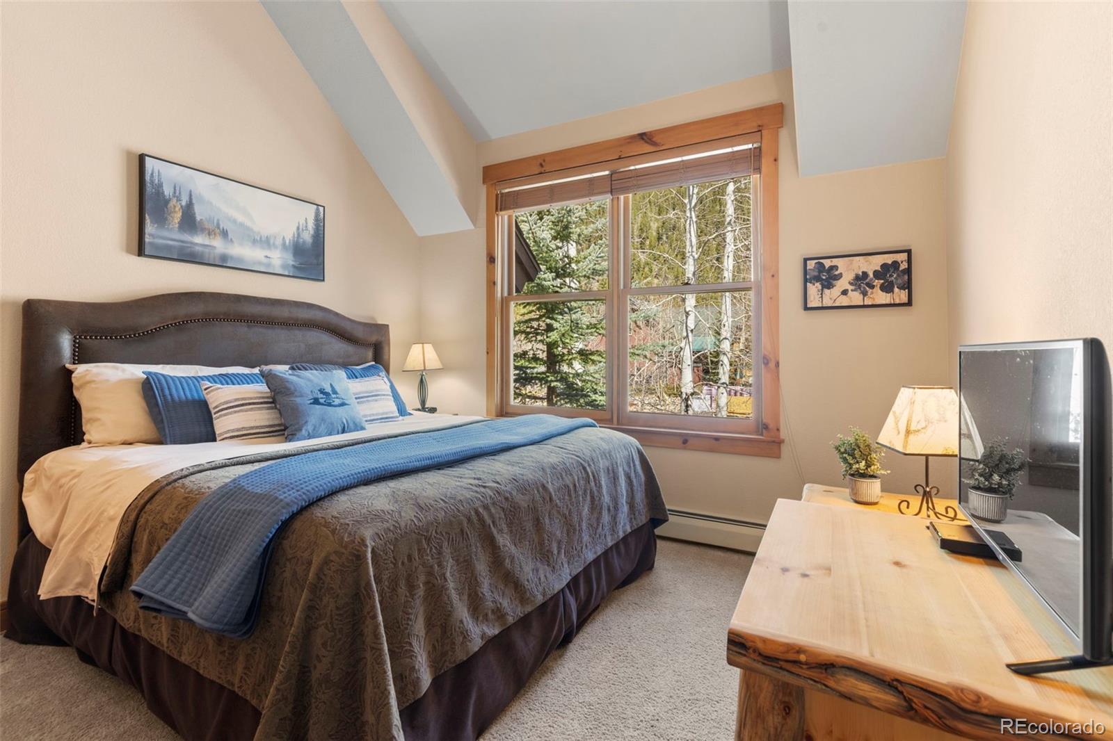 MLS Image #32 for 206  alpen rose place,dillon, Colorado