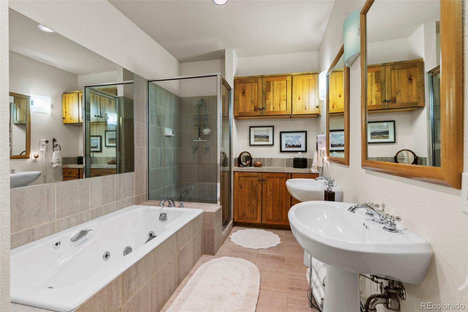 MLS Image #4 for 206  alpen rose place,dillon, Colorado