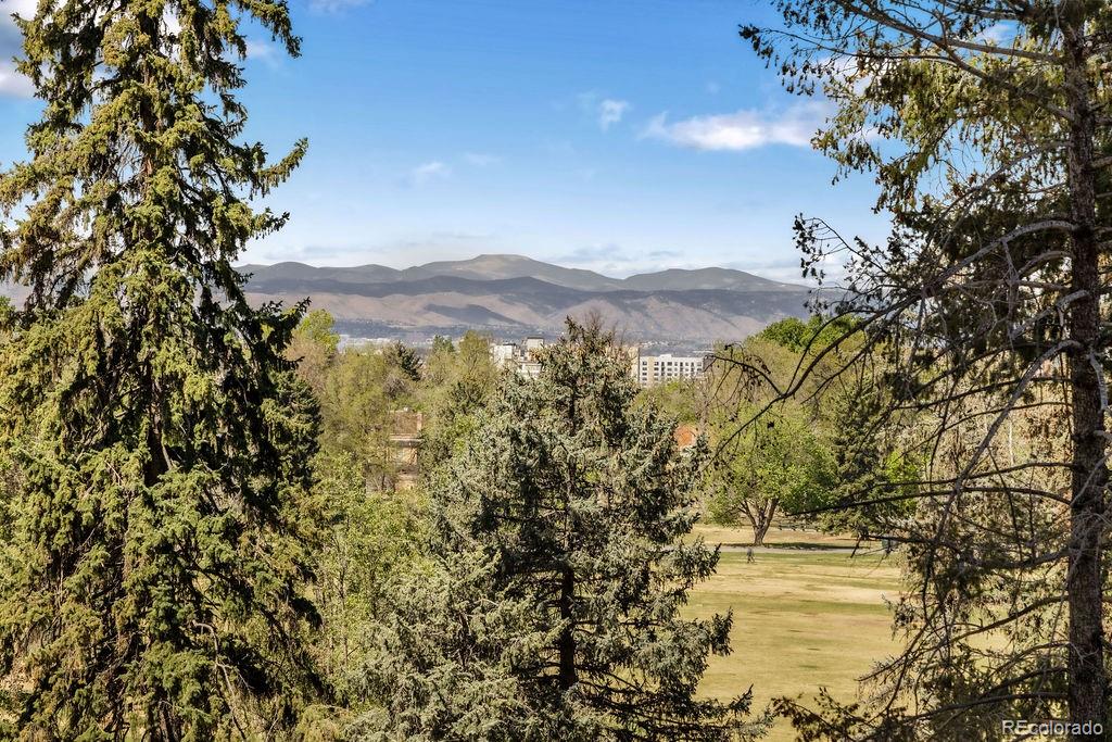 MLS Image #40 for 1133  race street 5a,denver, Colorado