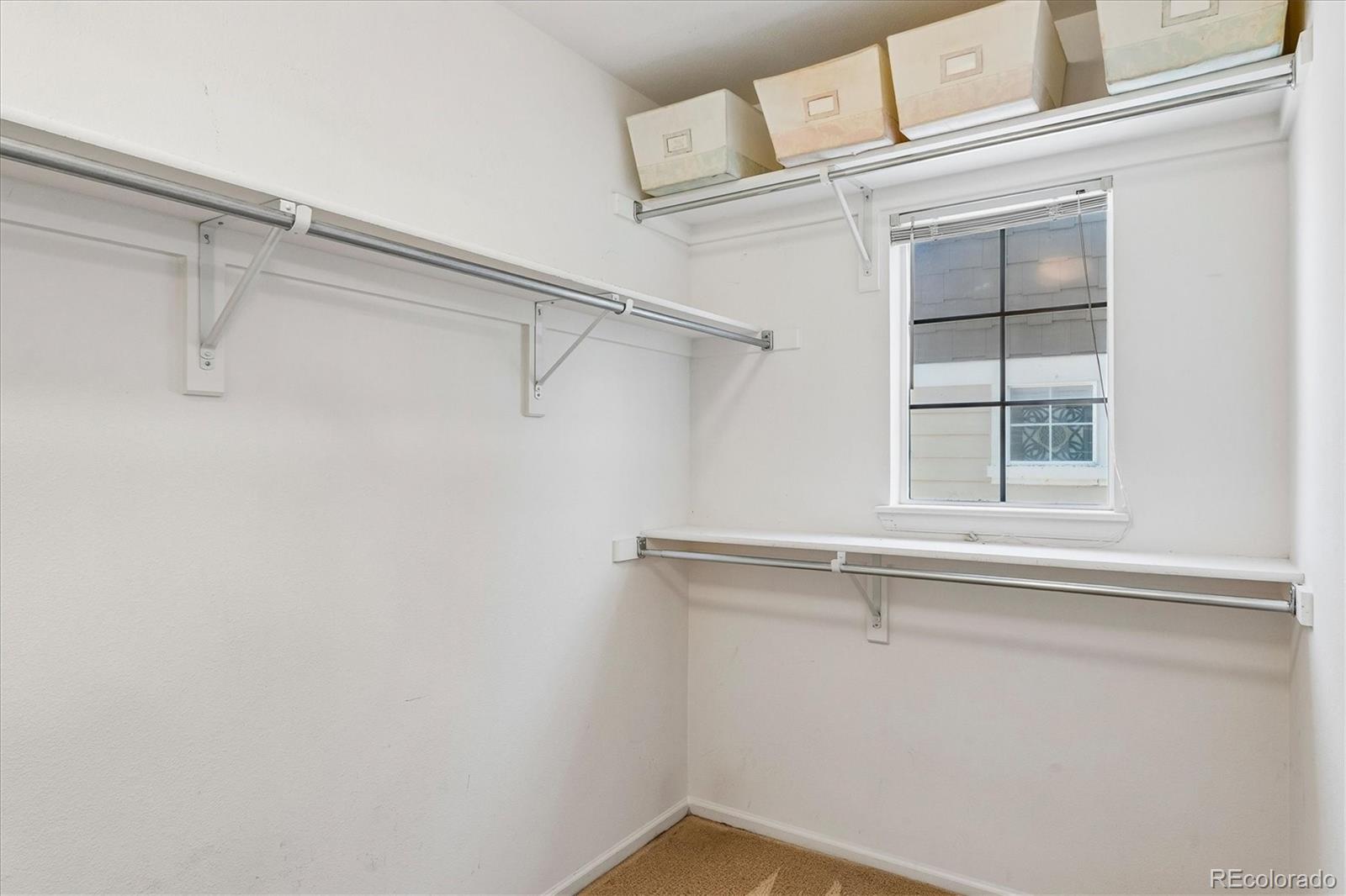 MLS Image #19 for 1516  royal troon drive ,castle rock, Colorado