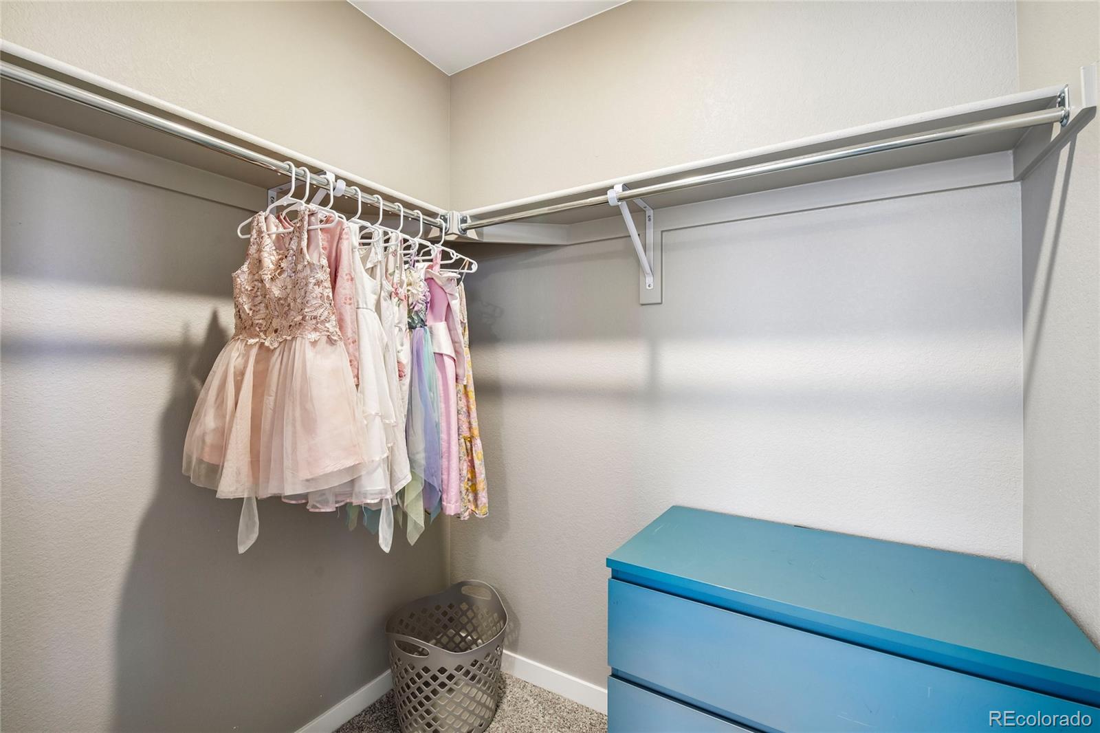 MLS Image #24 for 2398  pineywoods street,mead, Colorado