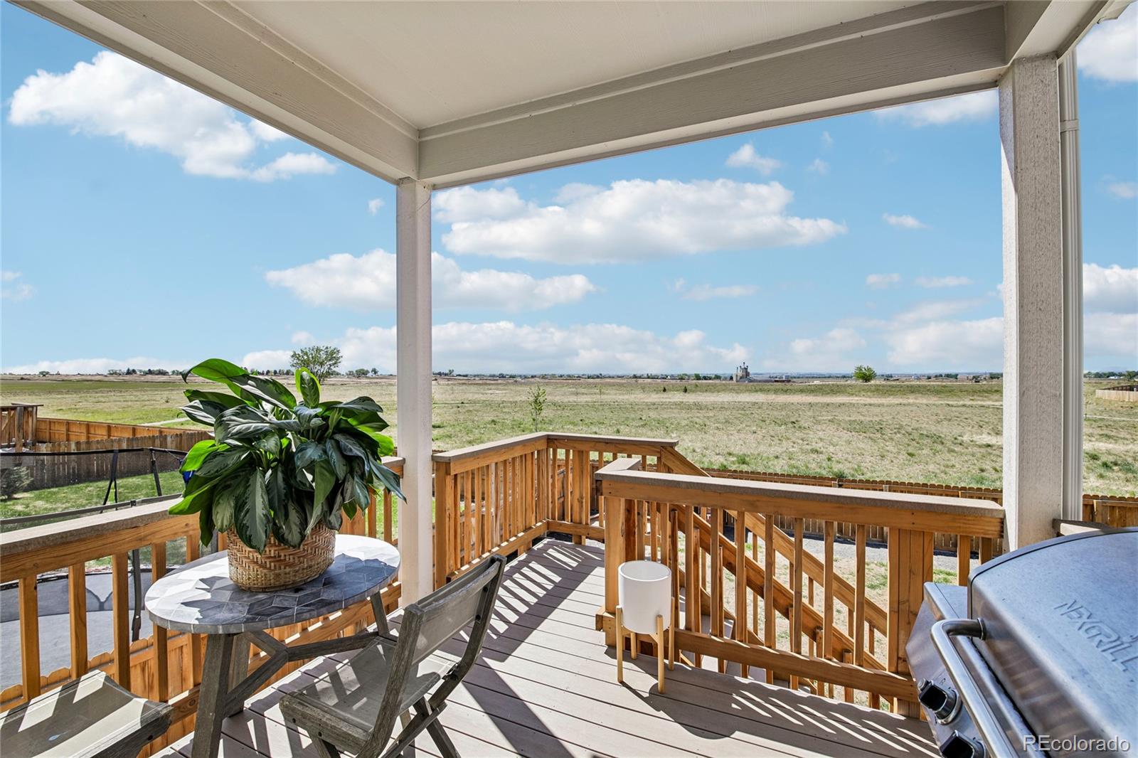 MLS Image #33 for 2398  pineywoods street,mead, Colorado
