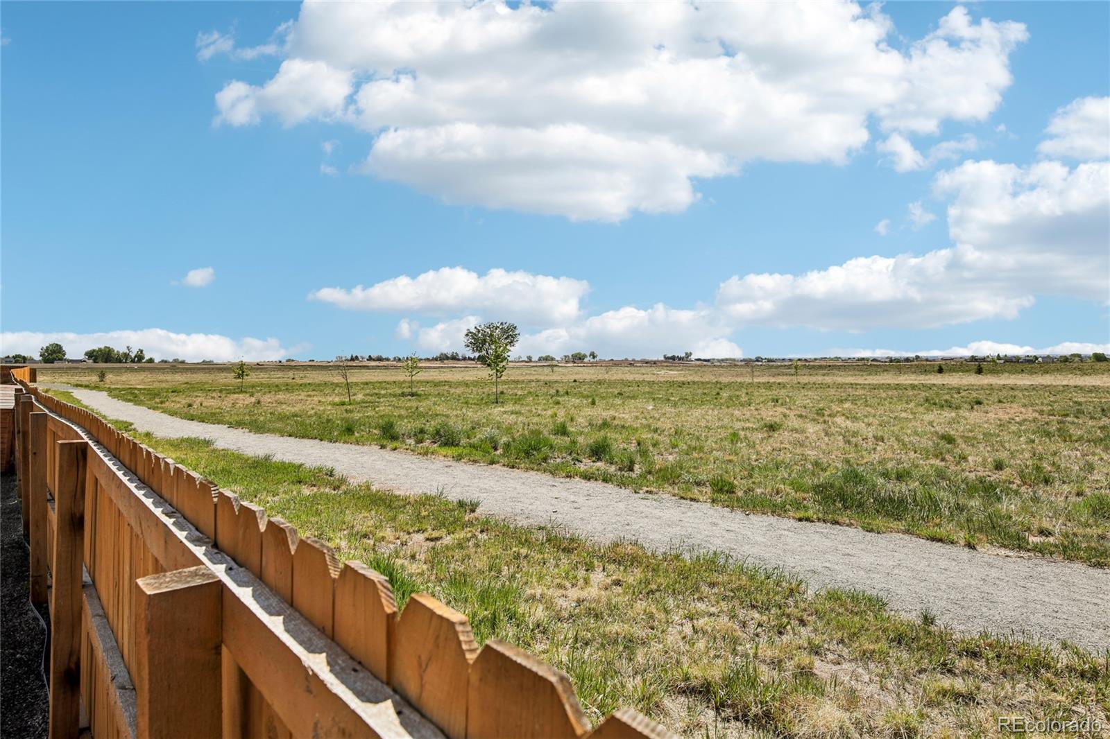MLS Image #38 for 2398  pineywoods street,mead, Colorado