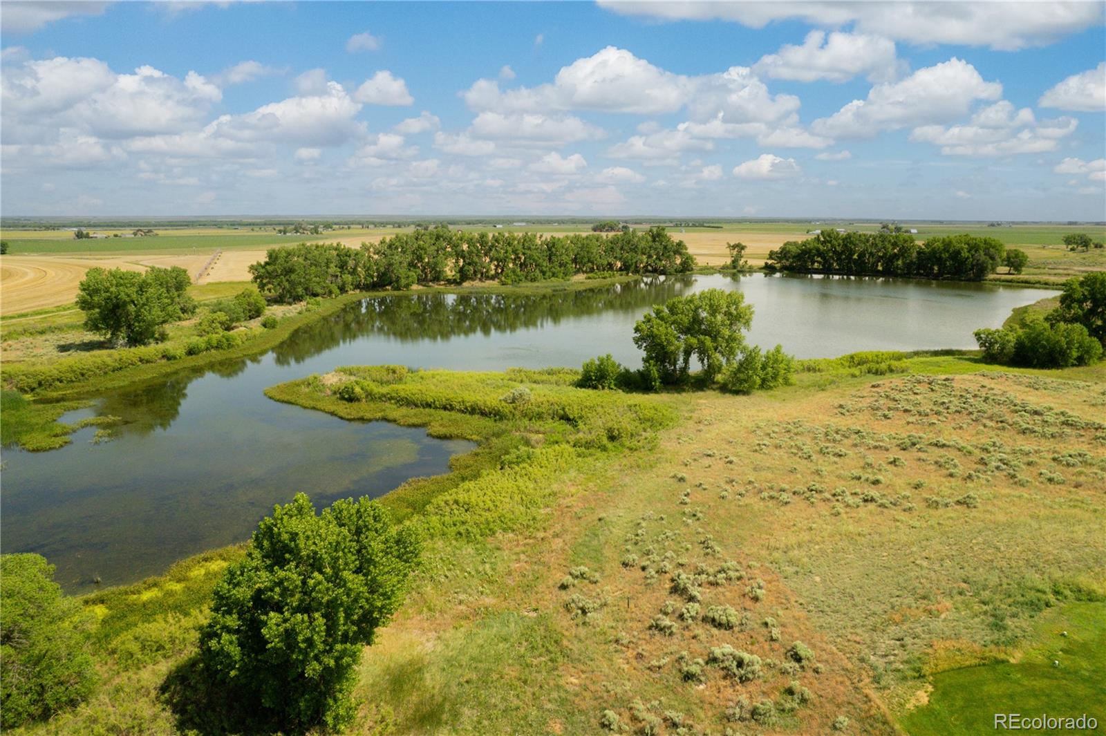 MLS Image #3 for 34427  county road w ,hillrose, Colorado