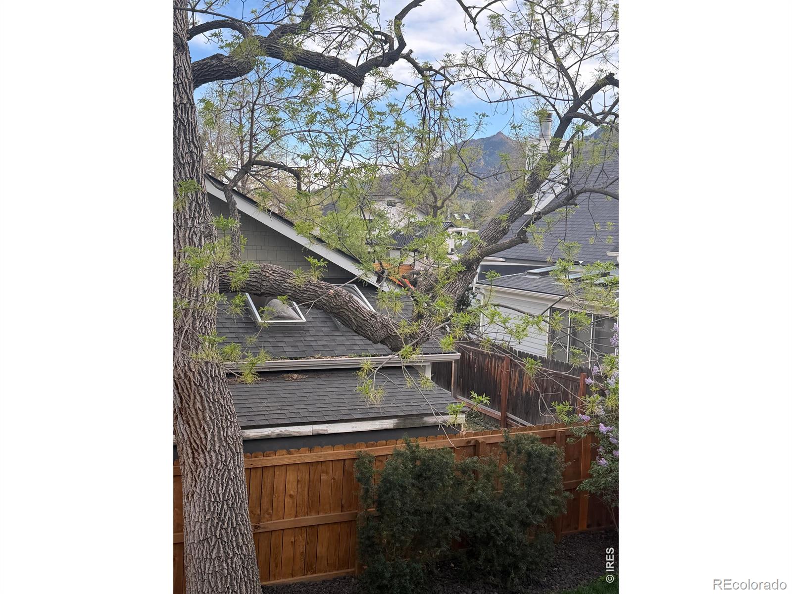 MLS Image #37 for 2215  20th street,boulder, Colorado