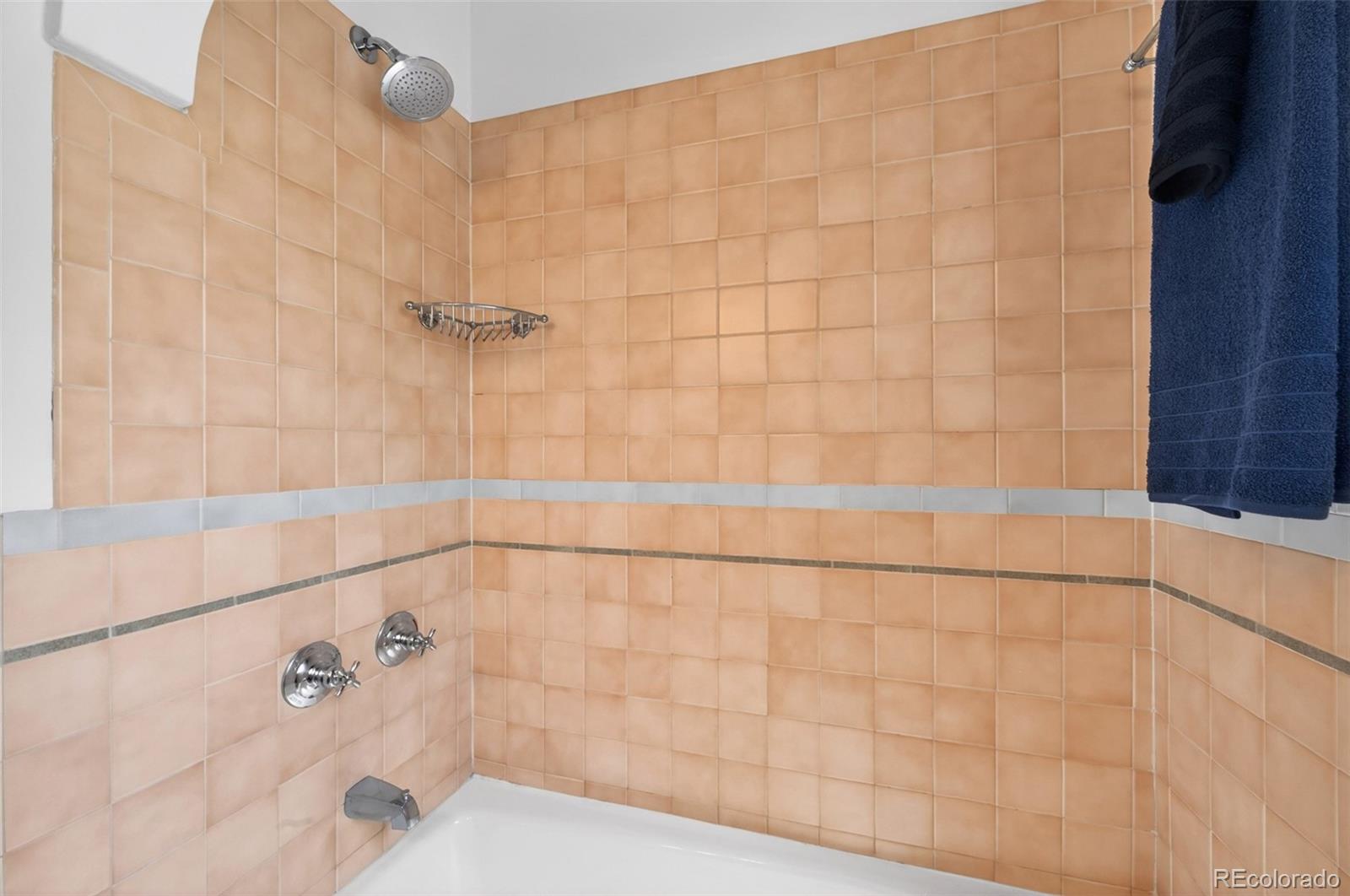 MLS Image #21 for 3176 w 39th avenue,denver, Colorado