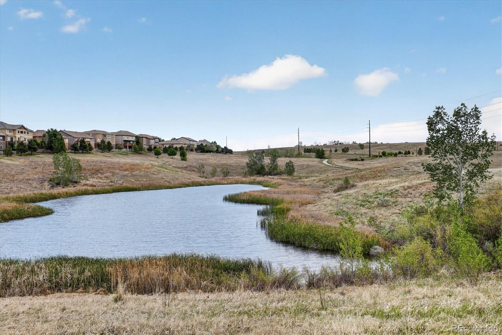 MLS Image #46 for 3472  harvard place,broomfield, Colorado