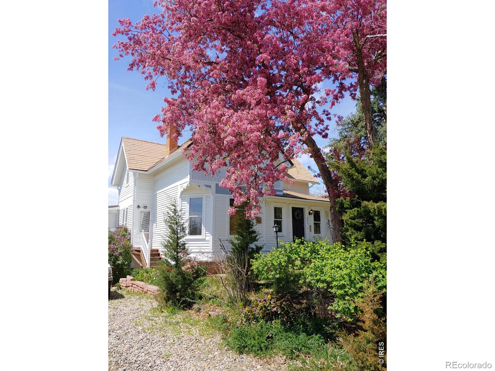 MLS Image #3 for 251  gay street,longmont, Colorado
