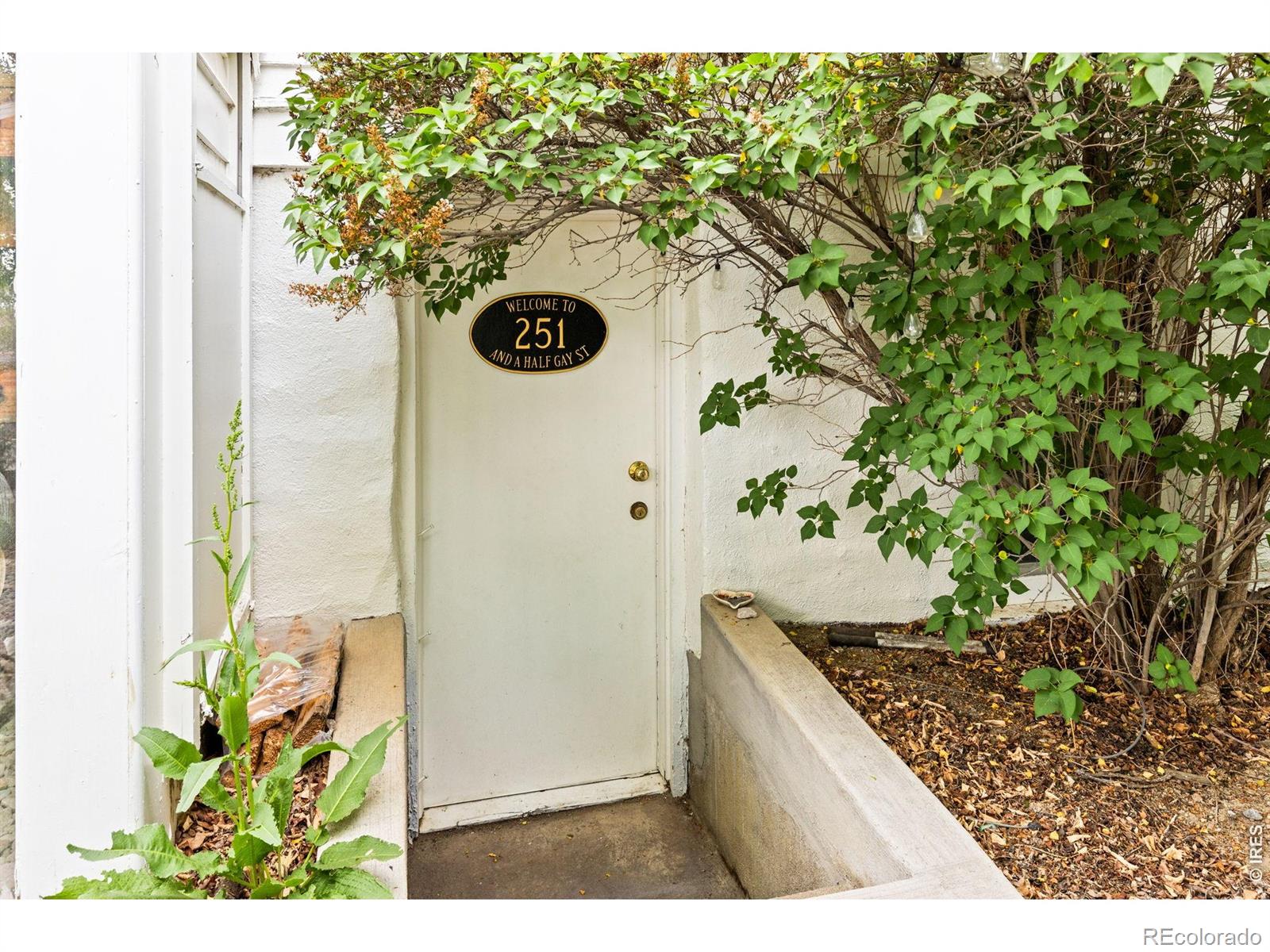 MLS Image #40 for 251  gay street,longmont, Colorado