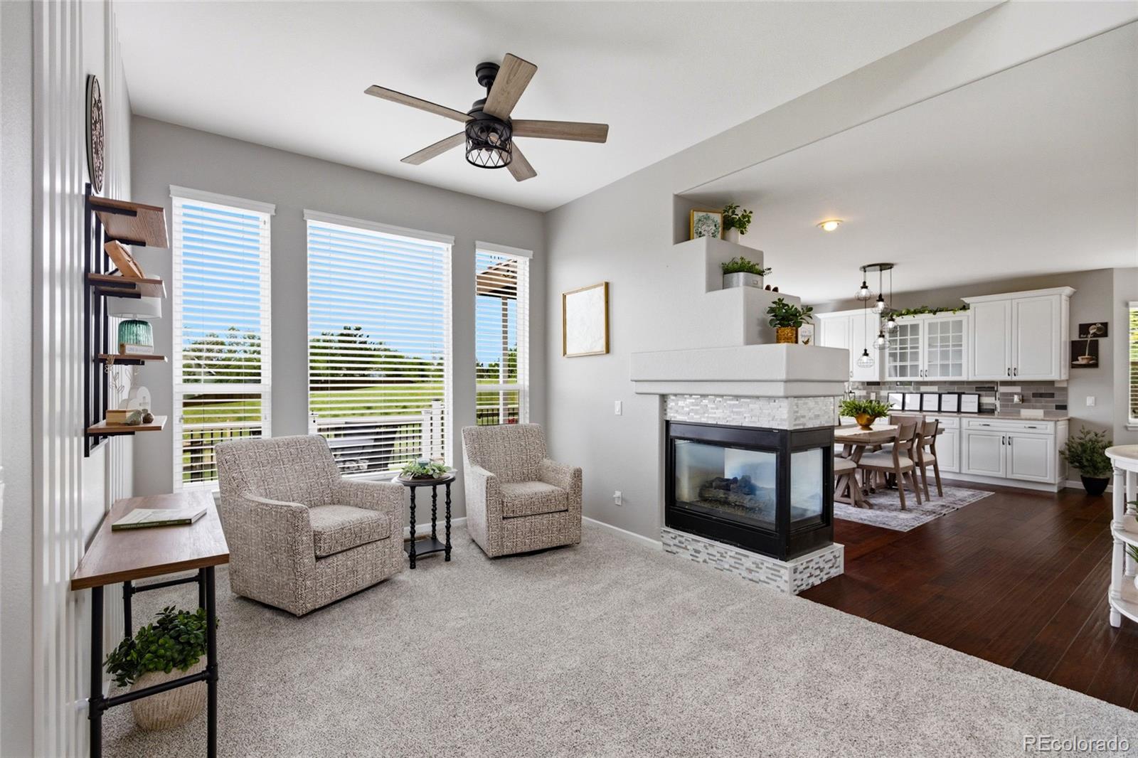 MLS Image #10 for 10755  willow reed court,parker, Colorado