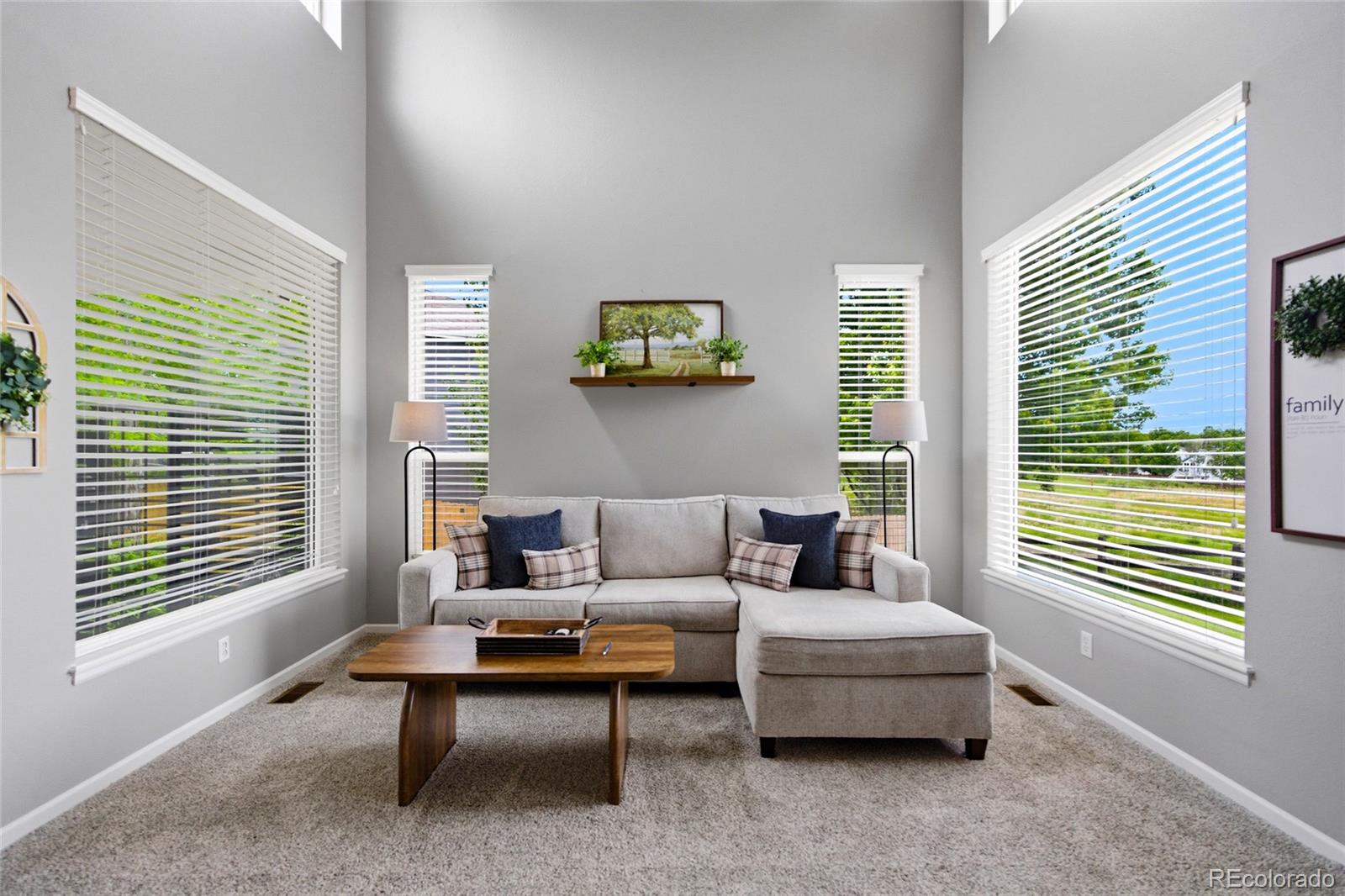 MLS Image #7 for 10755  willow reed court,parker, Colorado