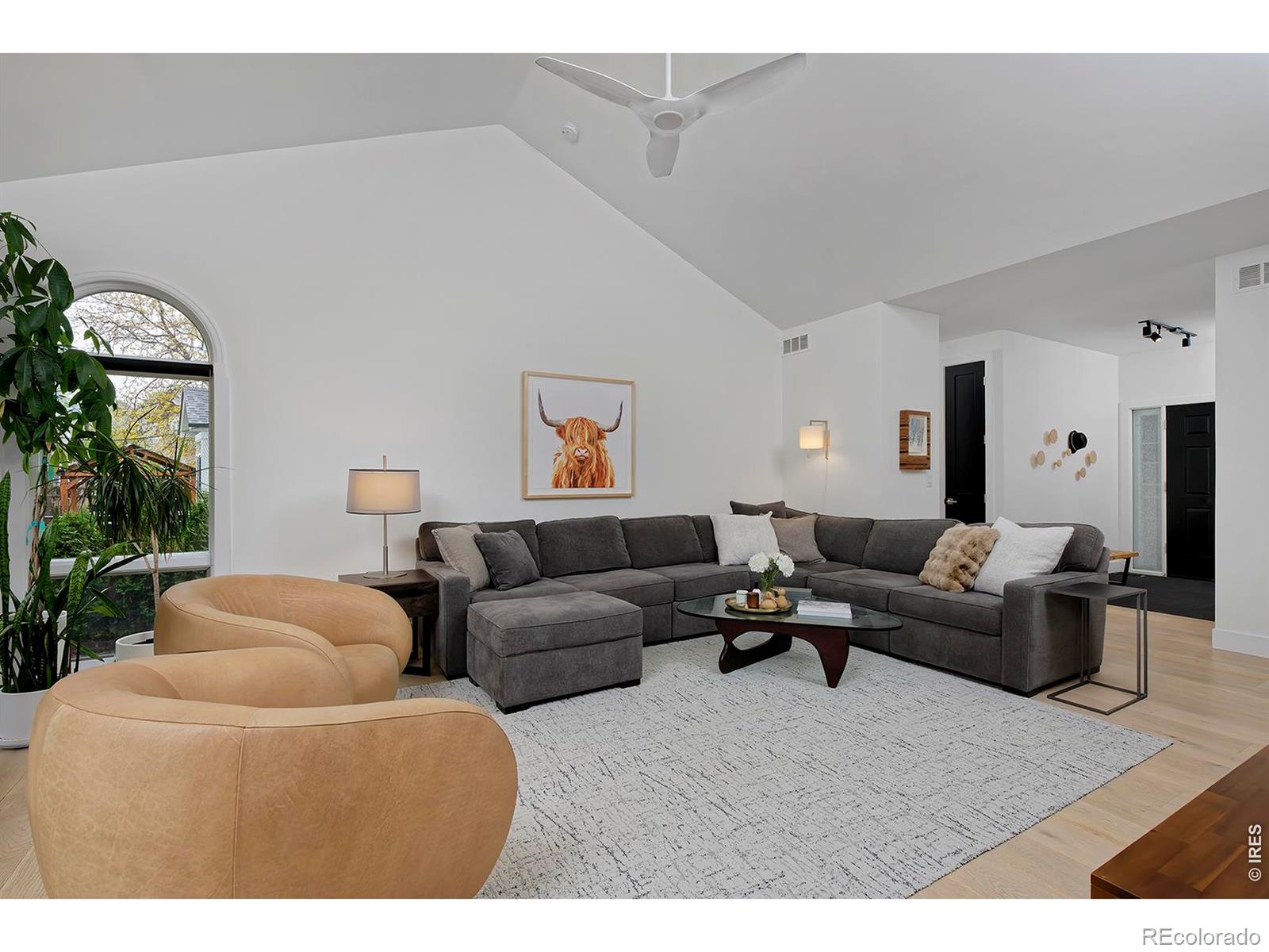 MLS Image #5 for 2238  bluebird drive,longmont, Colorado