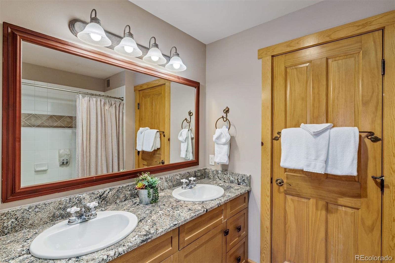 MLS Image #11 for 105  wheeler circle,copper mountain, Colorado