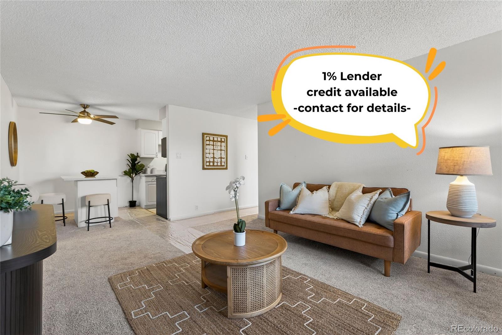 MLS Image #0 for 1233 n ogden street,denver, Colorado