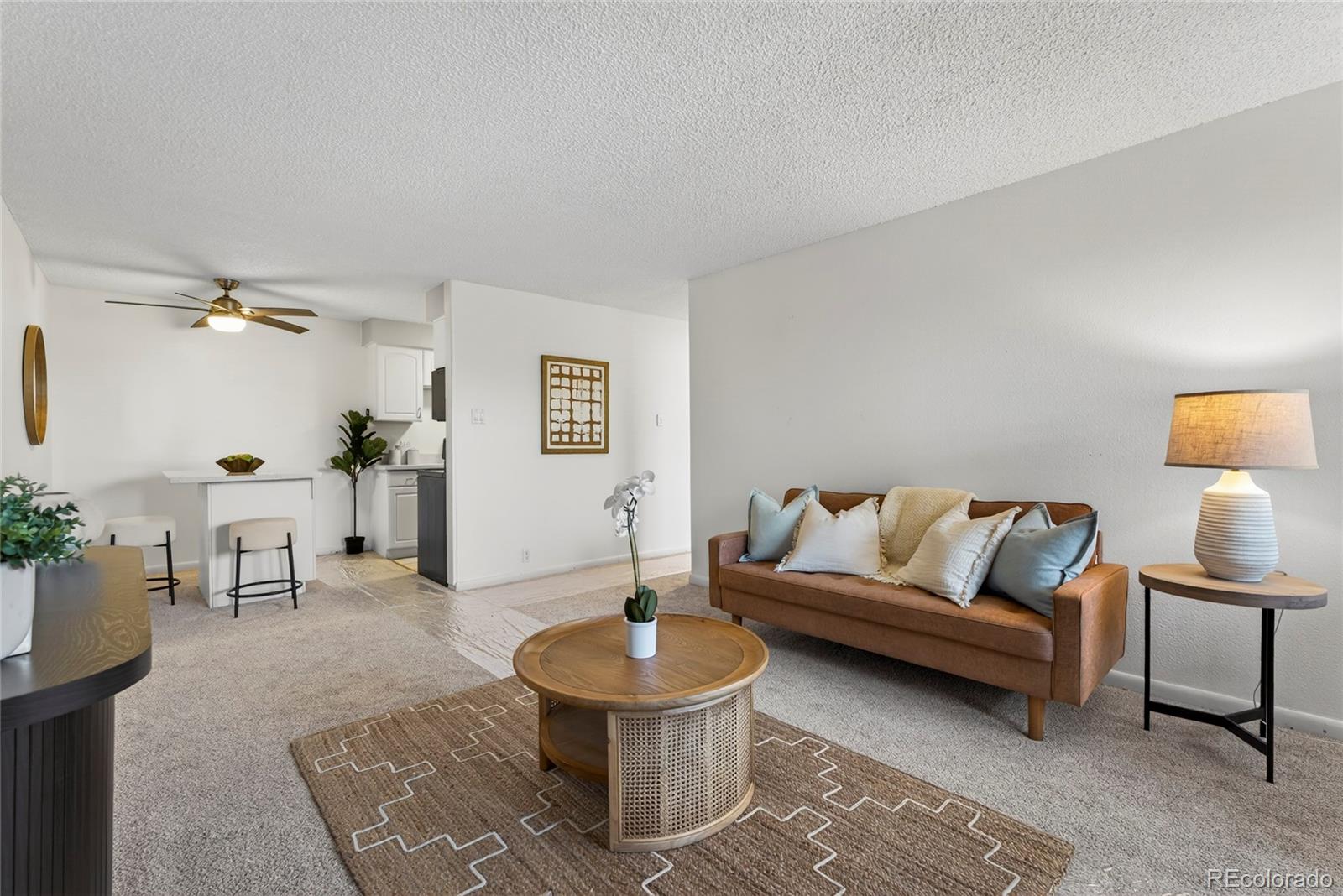 MLS Image #1 for 1233 n ogden street,denver, Colorado