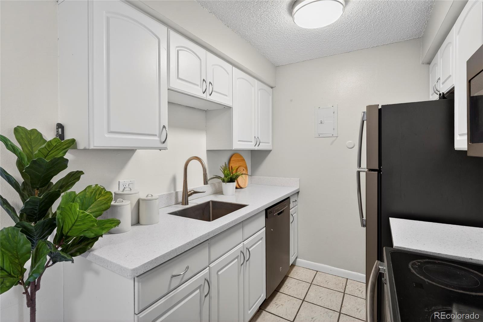 MLS Image #10 for 1233 n ogden street,denver, Colorado