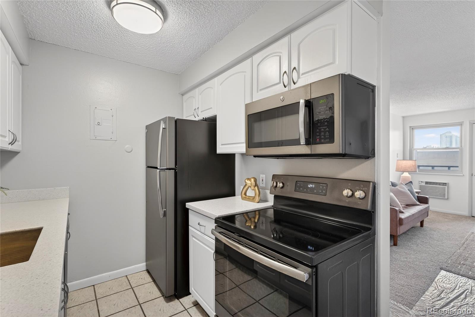 MLS Image #12 for 1233 n ogden street,denver, Colorado