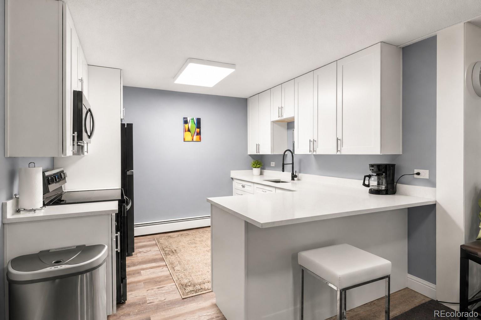 MLS Image #18 for 1233 n ogden street,denver, Colorado