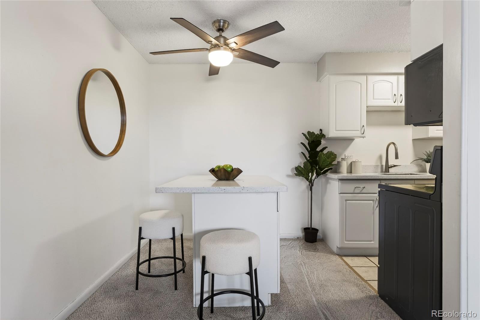 MLS Image #8 for 1233 n ogden street,denver, Colorado