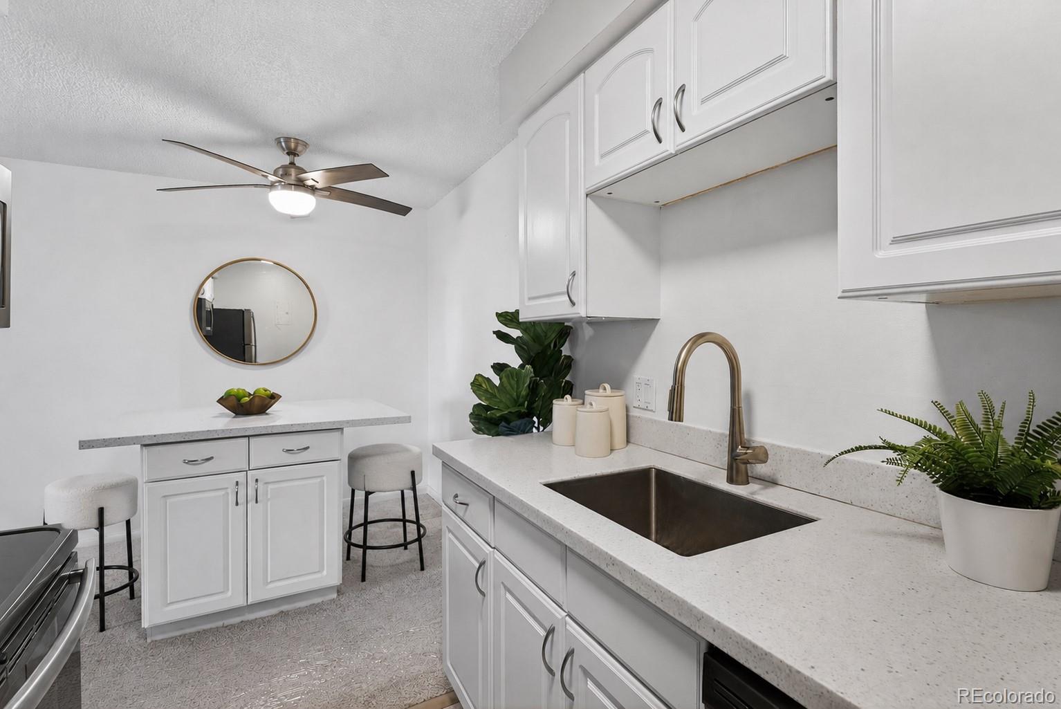 MLS Image #9 for 1233 n ogden street,denver, Colorado