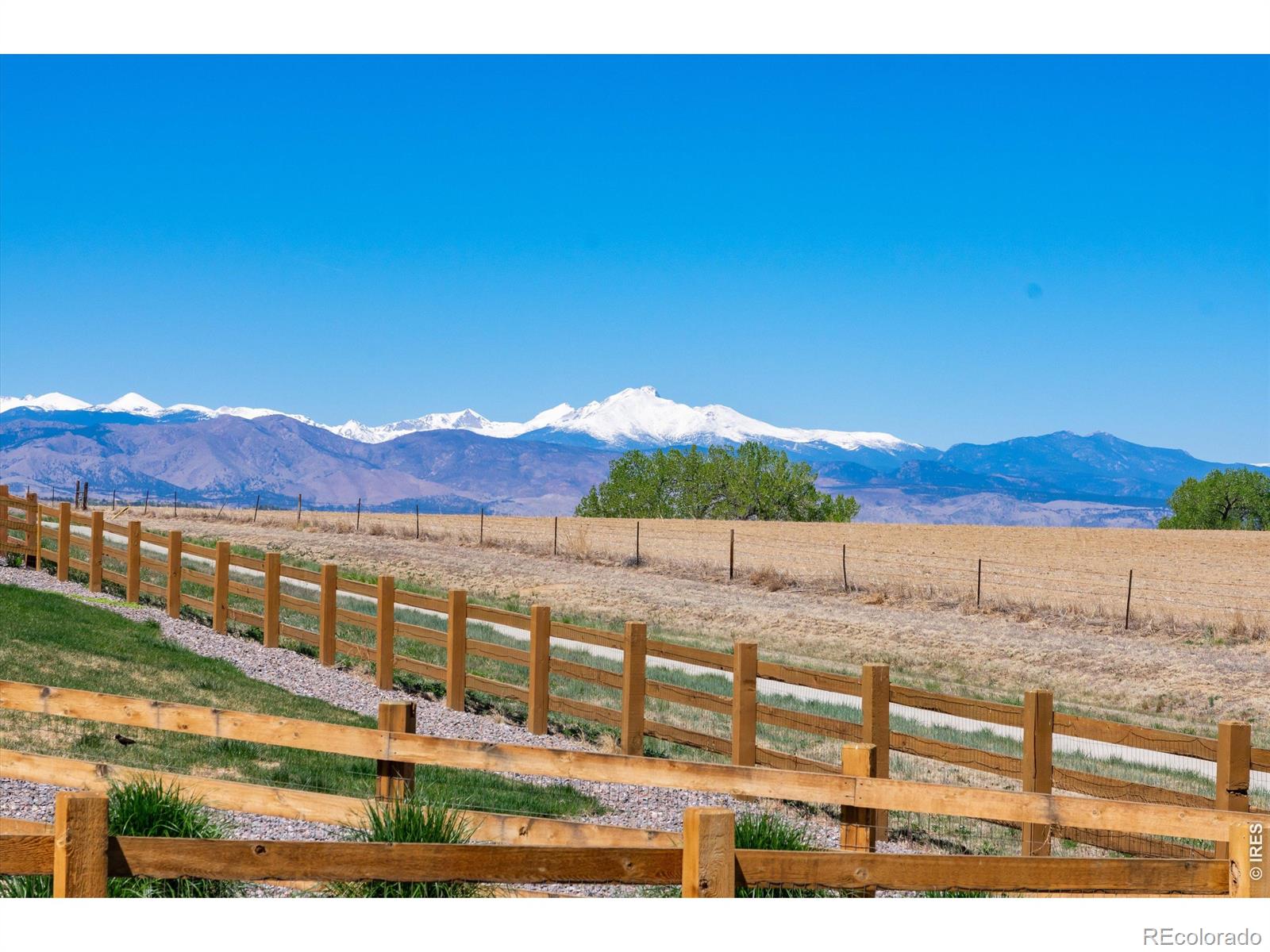 MLS Image #2 for 1991  miranda road,erie, Colorado
