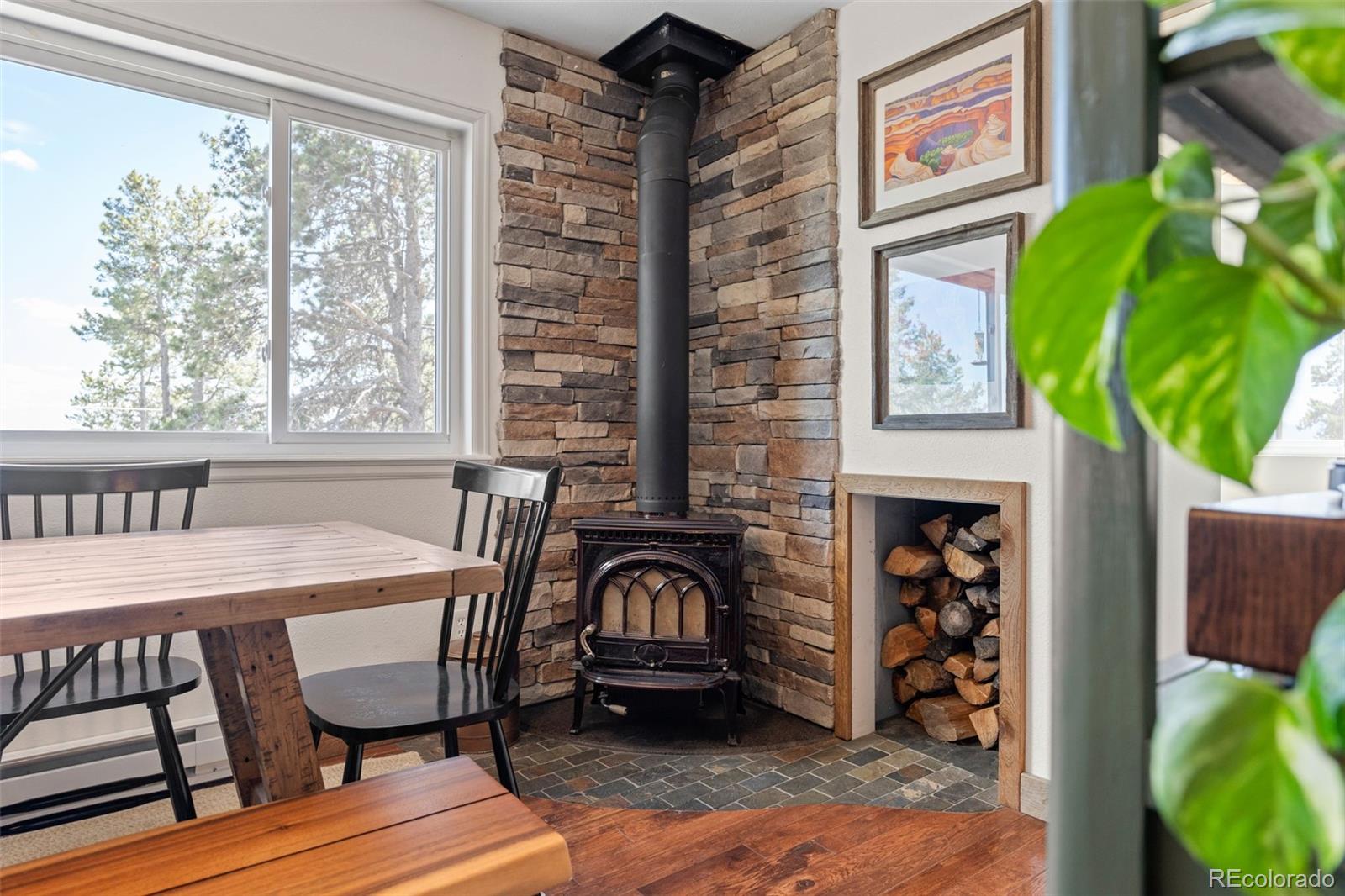 MLS Image #16 for 11544  green court,conifer, Colorado