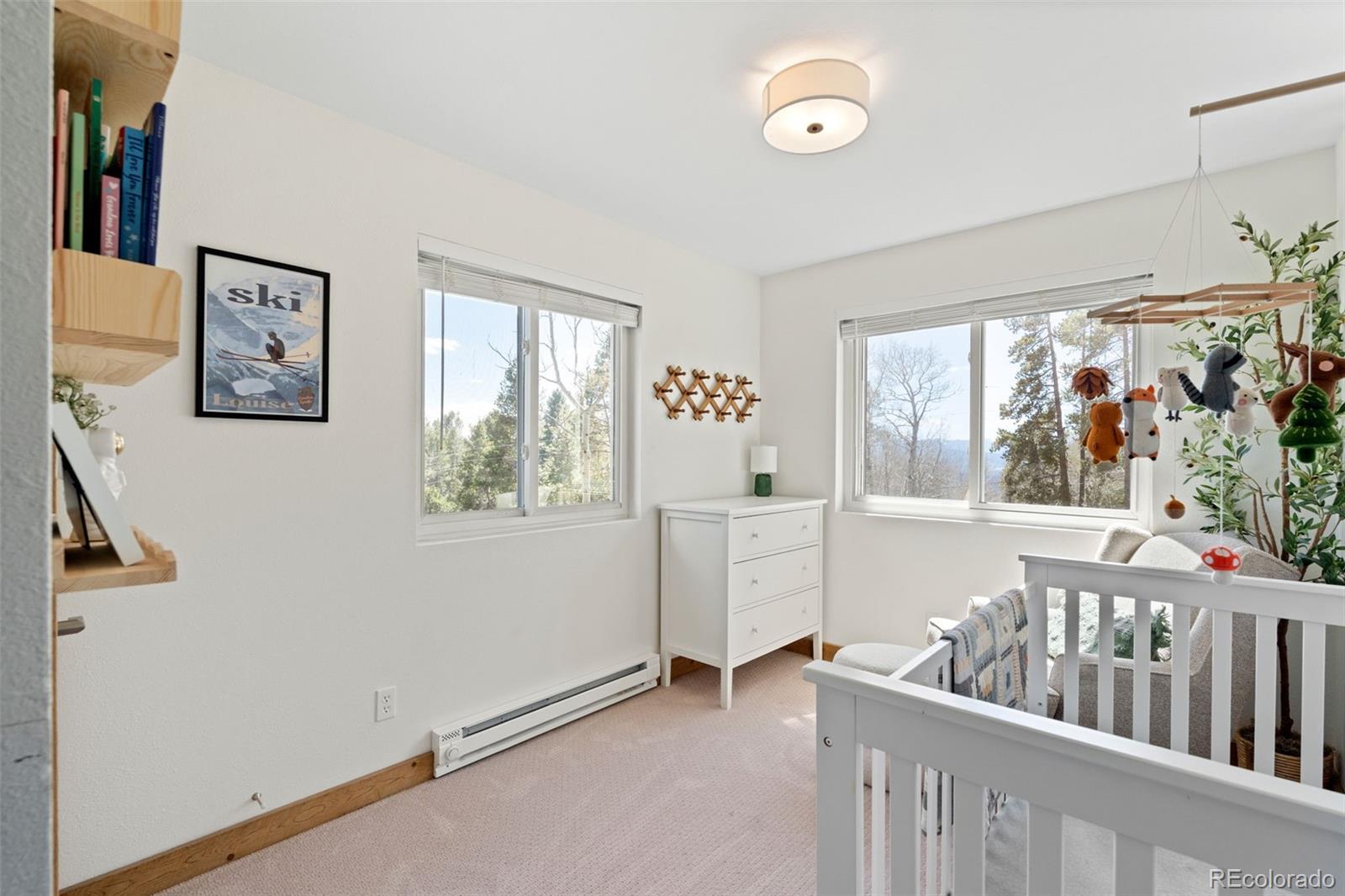 MLS Image #18 for 11544  green court,conifer, Colorado