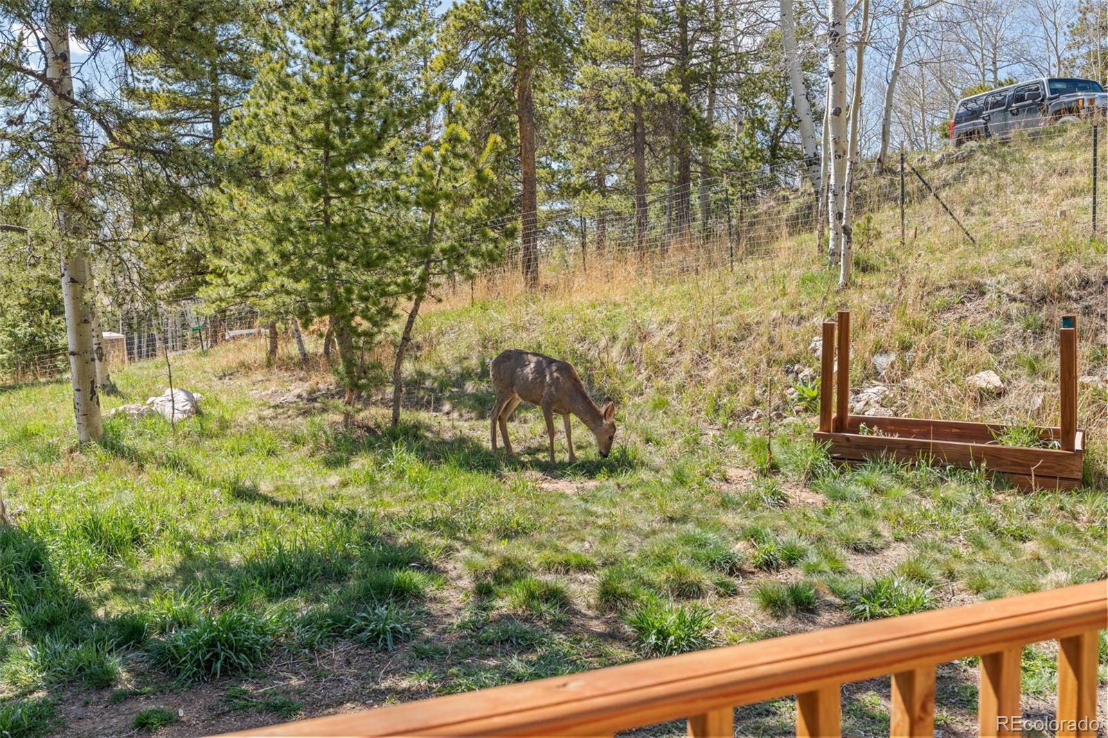 MLS Image #25 for 11544  green court,conifer, Colorado