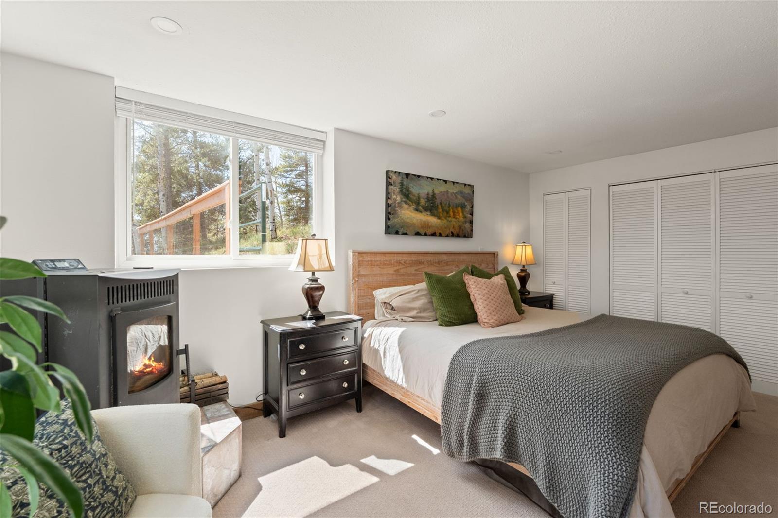 MLS Image #5 for 11544  green court,conifer, Colorado