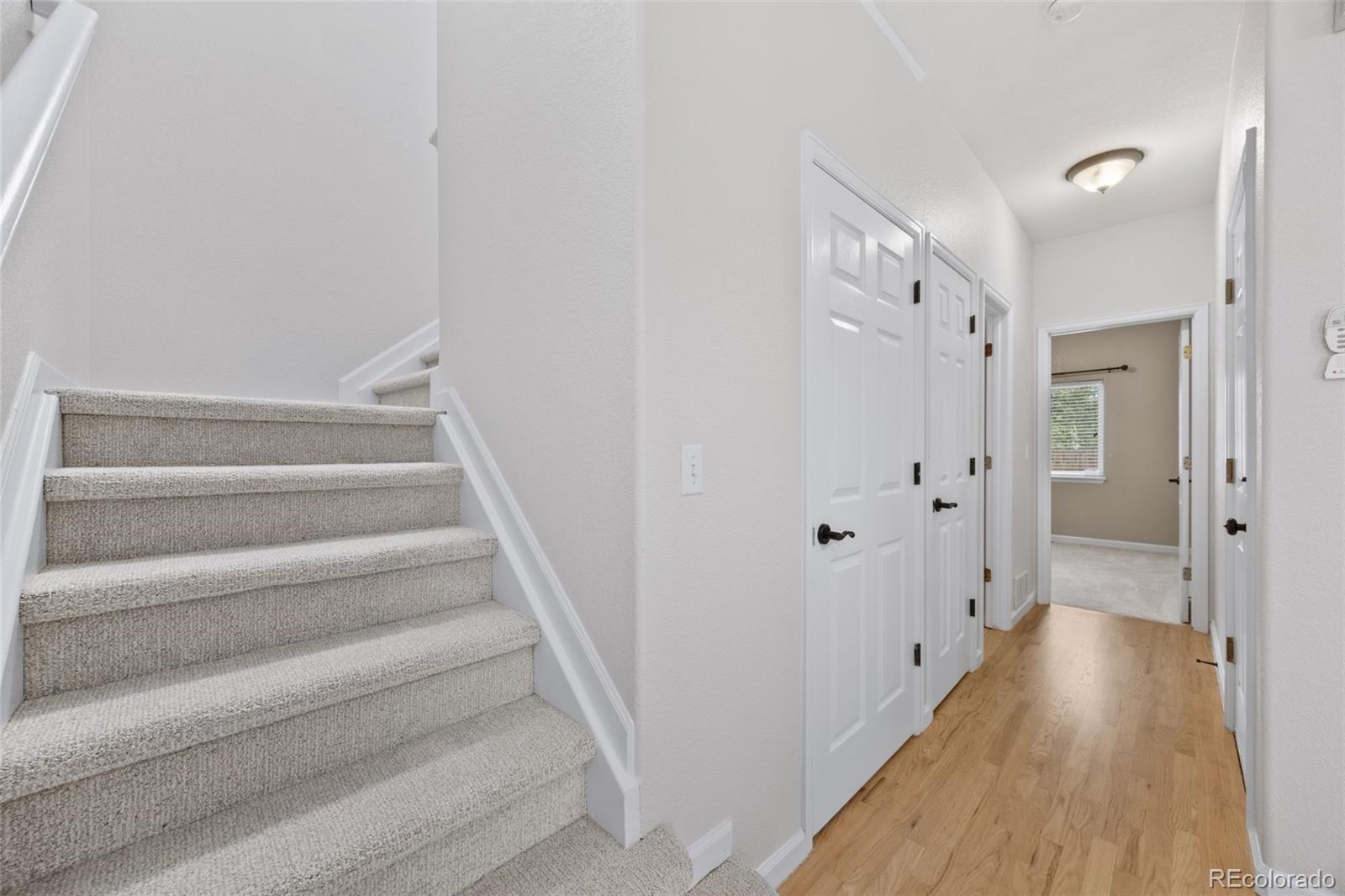 MLS Image #18 for 10114  wyandott circle,thornton, Colorado