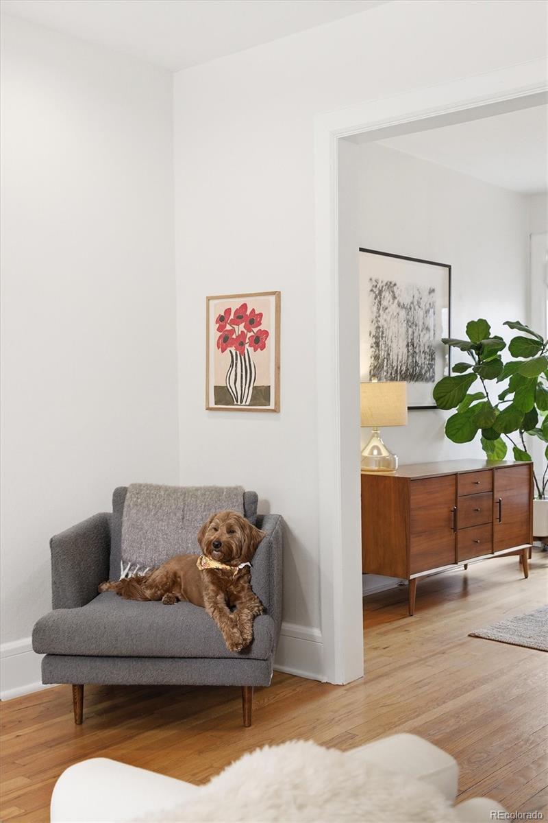 MLS Image #13 for 216 n sherman street,denver, Colorado