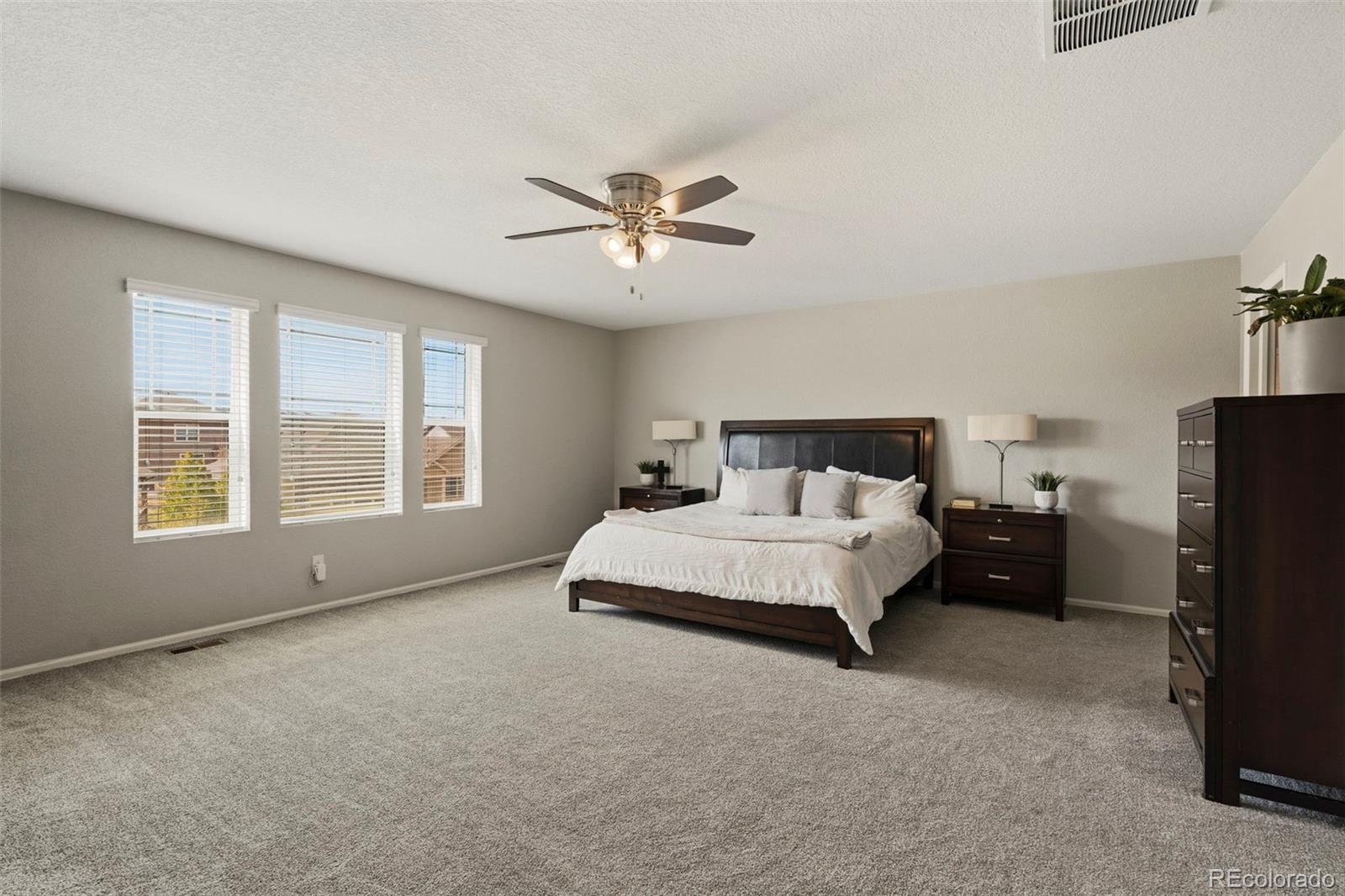 MLS Image #23 for 5918  point rider circle,castle rock, Colorado