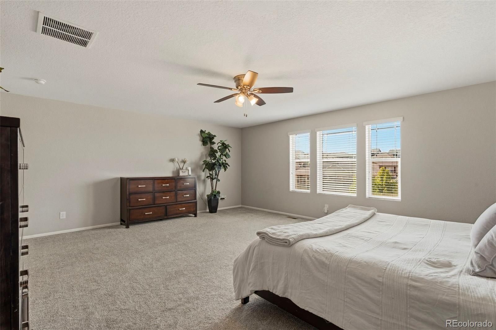 MLS Image #26 for 5918  point rider circle,castle rock, Colorado