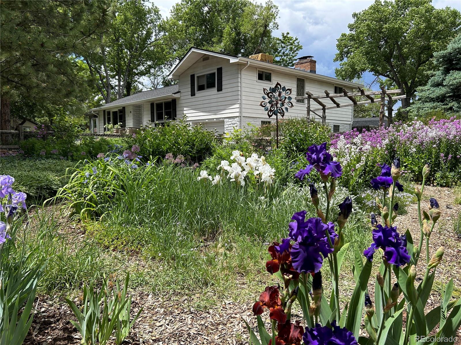 MLS Image #1 for 99 s holland street,lakewood, Colorado