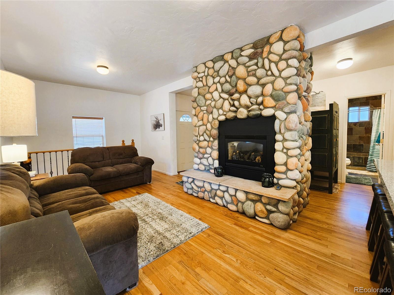 MLS Image #16 for 634  pine slope road,idaho springs, Colorado