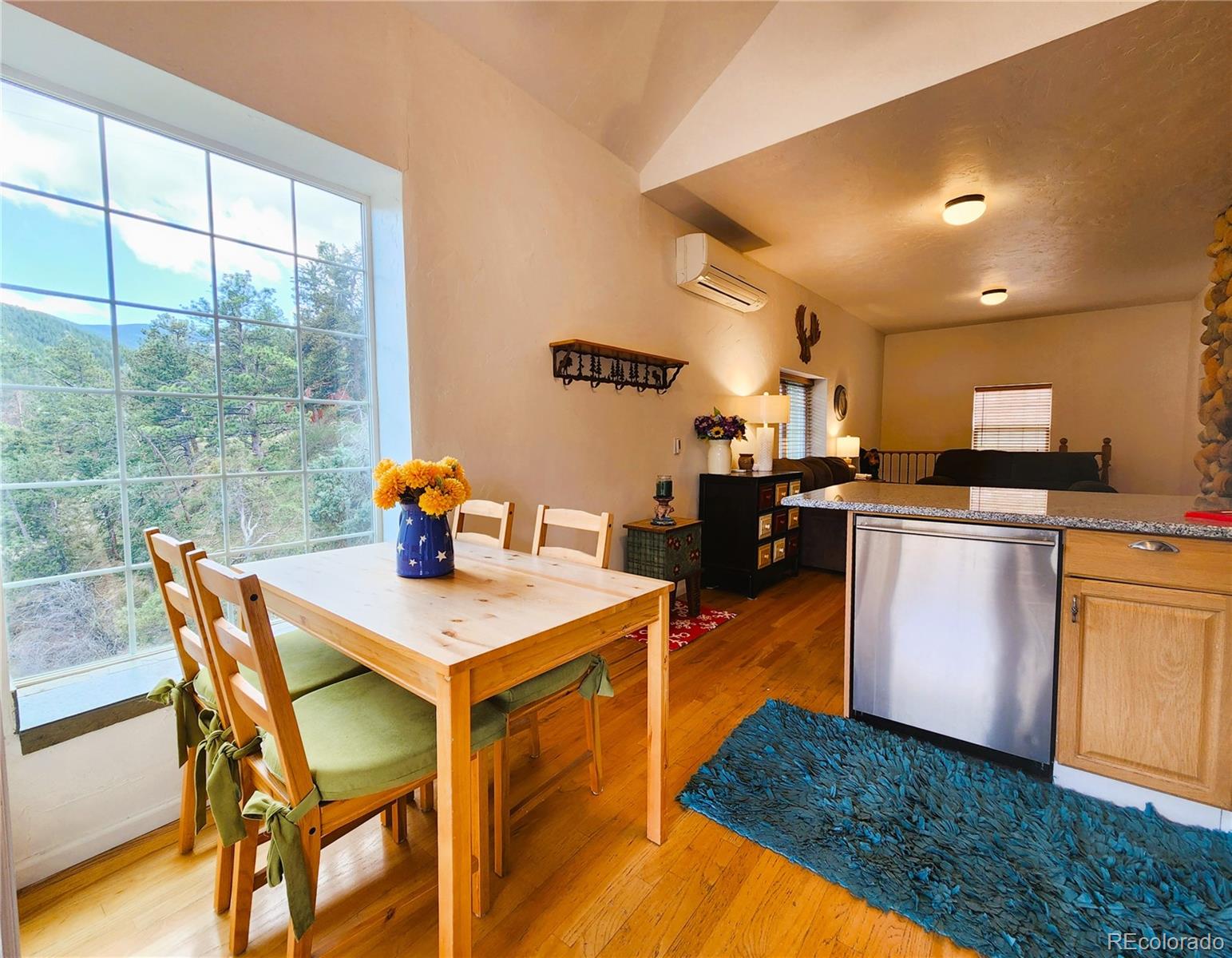 MLS Image #19 for 634  pine slope road,idaho springs, Colorado