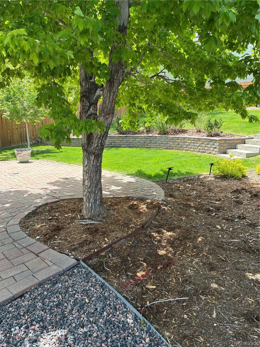 MLS Image #23 for 1416  begonia way,superior, Colorado