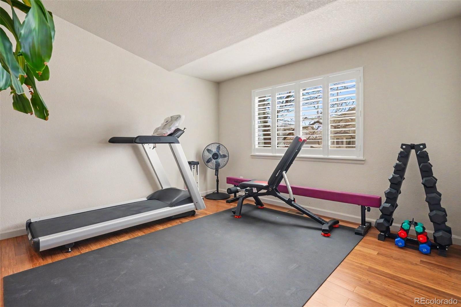 MLS Image #11 for 12783  buckhorn creek street,parker, Colorado